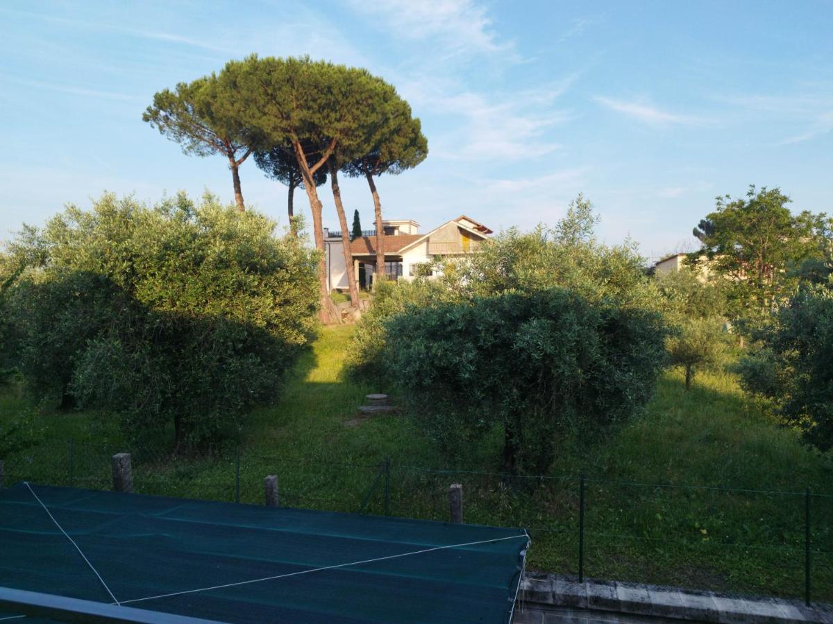 Luciano Relax Apartment 罗马 外观 照片